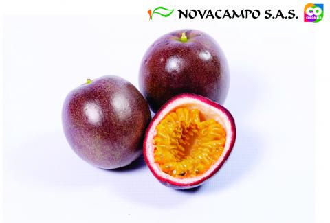 Passion Fruit Image