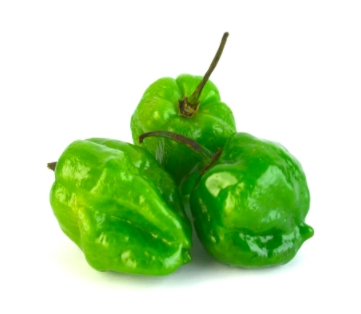 Habanero chili pepper Image
