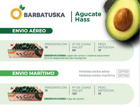 Avocado Hass Image