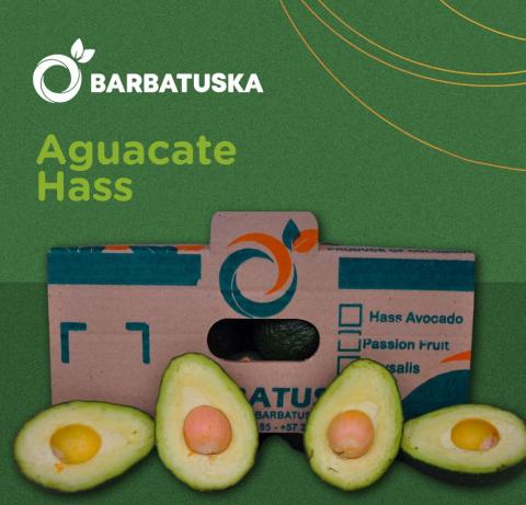 Avocado Hass Image