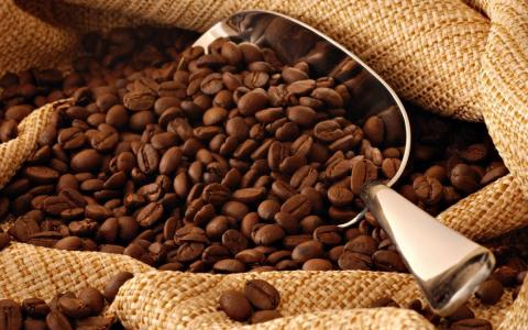 Roasted Coffee Beans Image