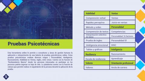 PSYCHOTECHNICAL TESTING PLATFORM Image