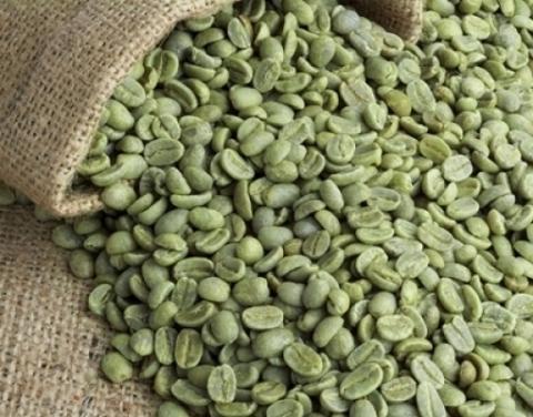 Green or trite coffee Image