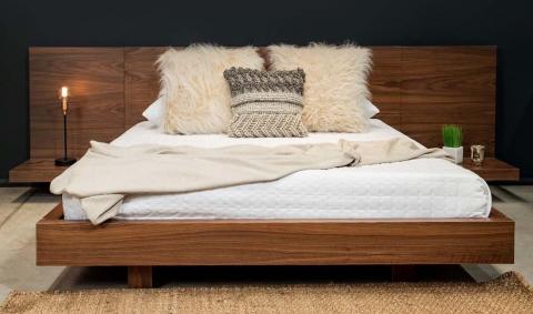BED Image