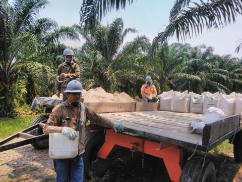 Labber Soil Agro-Restorer Image