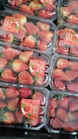 Fresh and Frozen Strawberry Image
