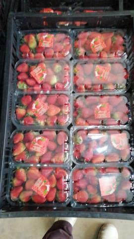 Fresh and Frozen Strawberry Image