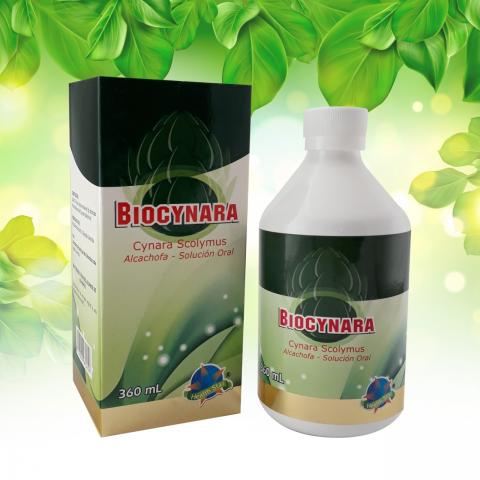 BIOCYNARA. ARTICHOKE (CYNARA SCOLYMUS) – PHYTOTHERAPEUTIC. Image
