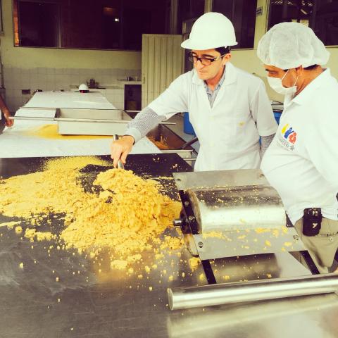 POWDERED PANELA Image