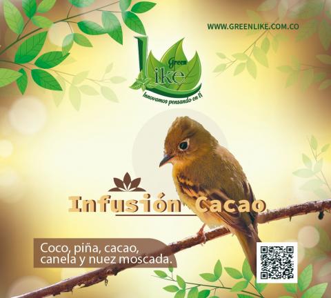 fruit infusion Image