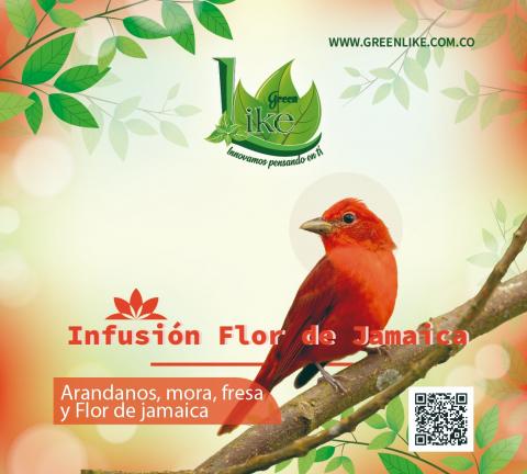fruit infusion Image