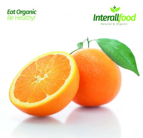 Valencia Orange Image