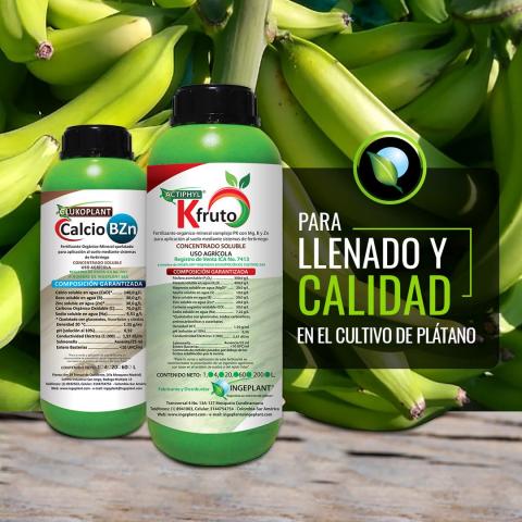 Actiphyl Kfruto Image