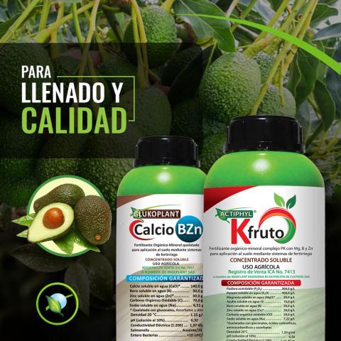 Actiphyl Kfruto Image