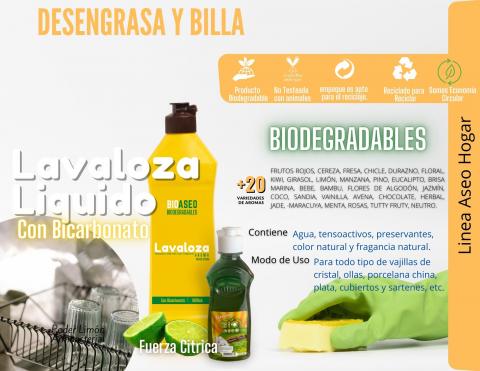 LIQUID DISHWASHING SOAP Image