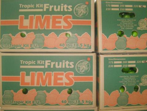 perdian limes- tahiti limes Image