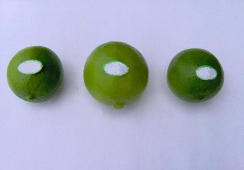 perdian limes- tahiti limes Image