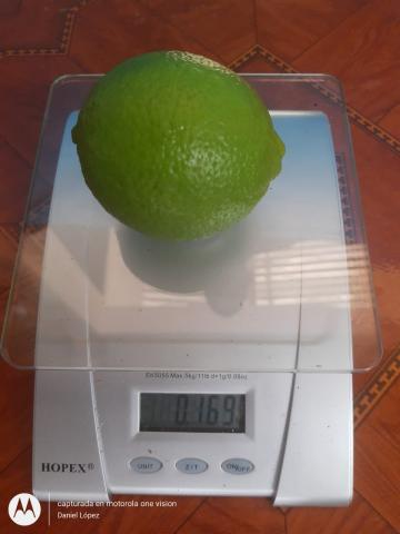 limon-1.jpg