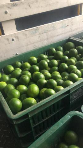 limon-2.jpg