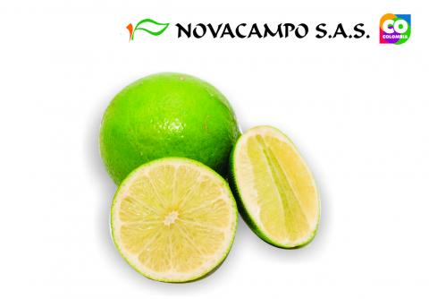 Lime Image