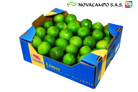 Lime Image