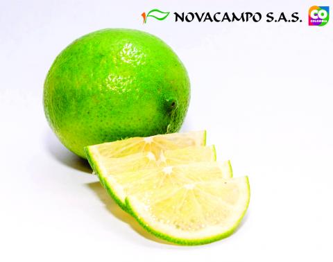 Lime Image