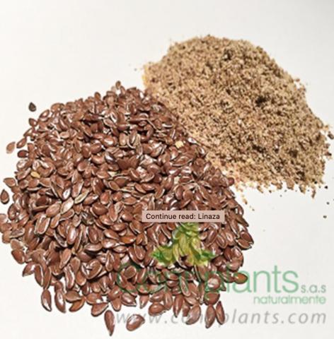 Flaxseed Image