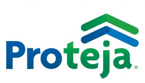 PROTEJA ROOFING SHEETS Image