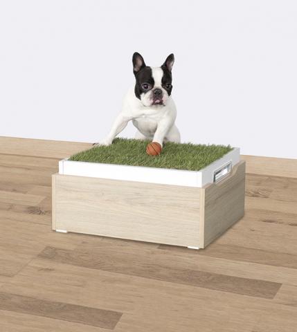 PETS BED Image