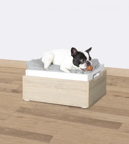 PETS BED Image