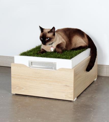 PETS BED Image