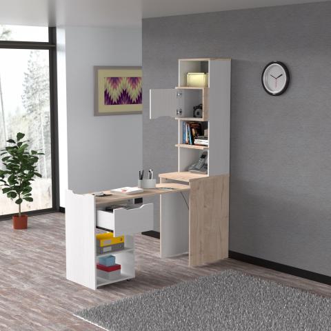 EXTENSIVE LIBRARY Image