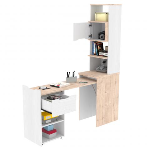 EXTENSIVE LIBRARY Image
