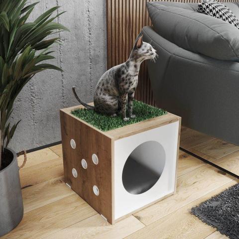 CAT PLAY BED Image