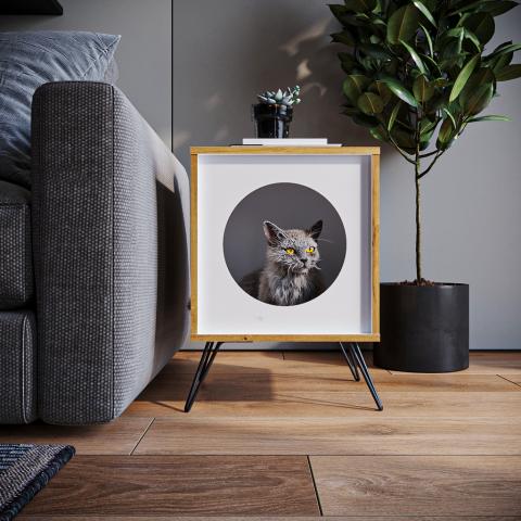 CAT SIDE TABLE Image