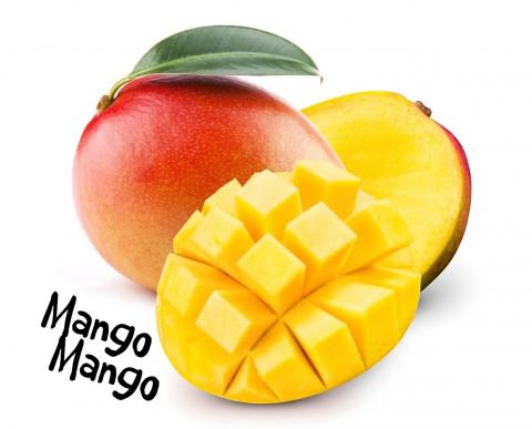 MANGO PUREE Image