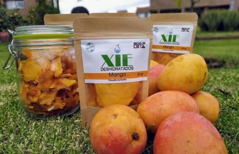 dehydrated mango Image