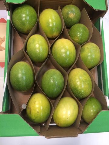 Yellow Passion Fruit Image