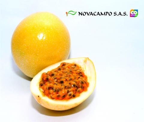 Passion Fruit Image