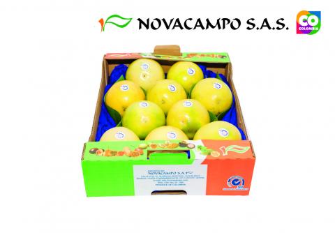 Passion Fruit Image