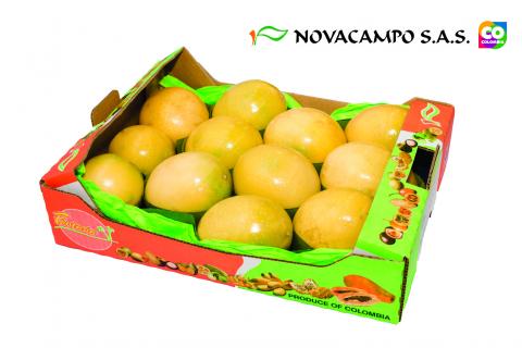 Passion Fruit Image