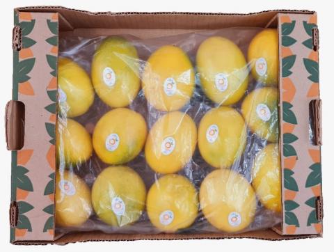 Yellow passion fruit Image