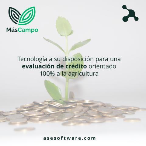 MásCampo Image