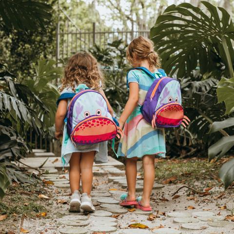 Backpack Image