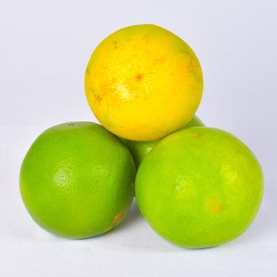 VALENCIA ORANGE (CITRUS X SINENSIS) Image