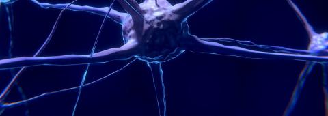 Neurology and Neurosurgery Image