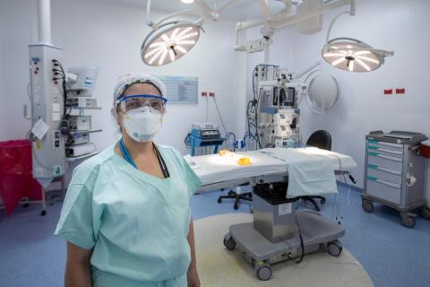 Orthopedics Image