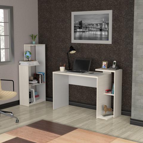 DESK + LIBRARY Z Image