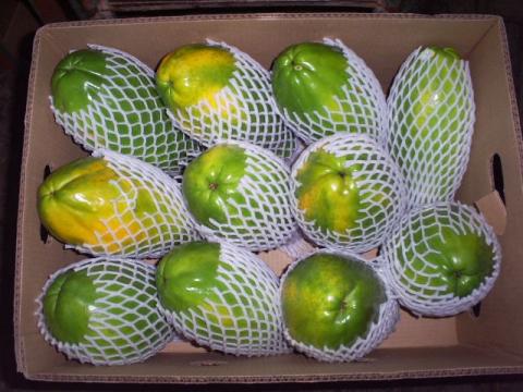 PAPAYA Image
