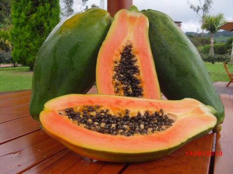 PAPAYA Image